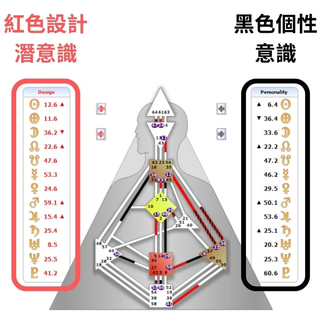 人類圖中意識層面是黑色的數字、黑色的線;潛意識層面是紅色的數字、紅色的線|曼蒂人類圖