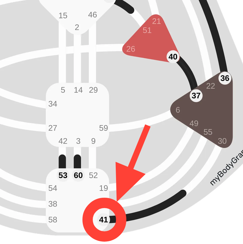 2026人類圖流年運勢解析：2026 人類圖流年中閘門41的位置｜曼蒂人類圖